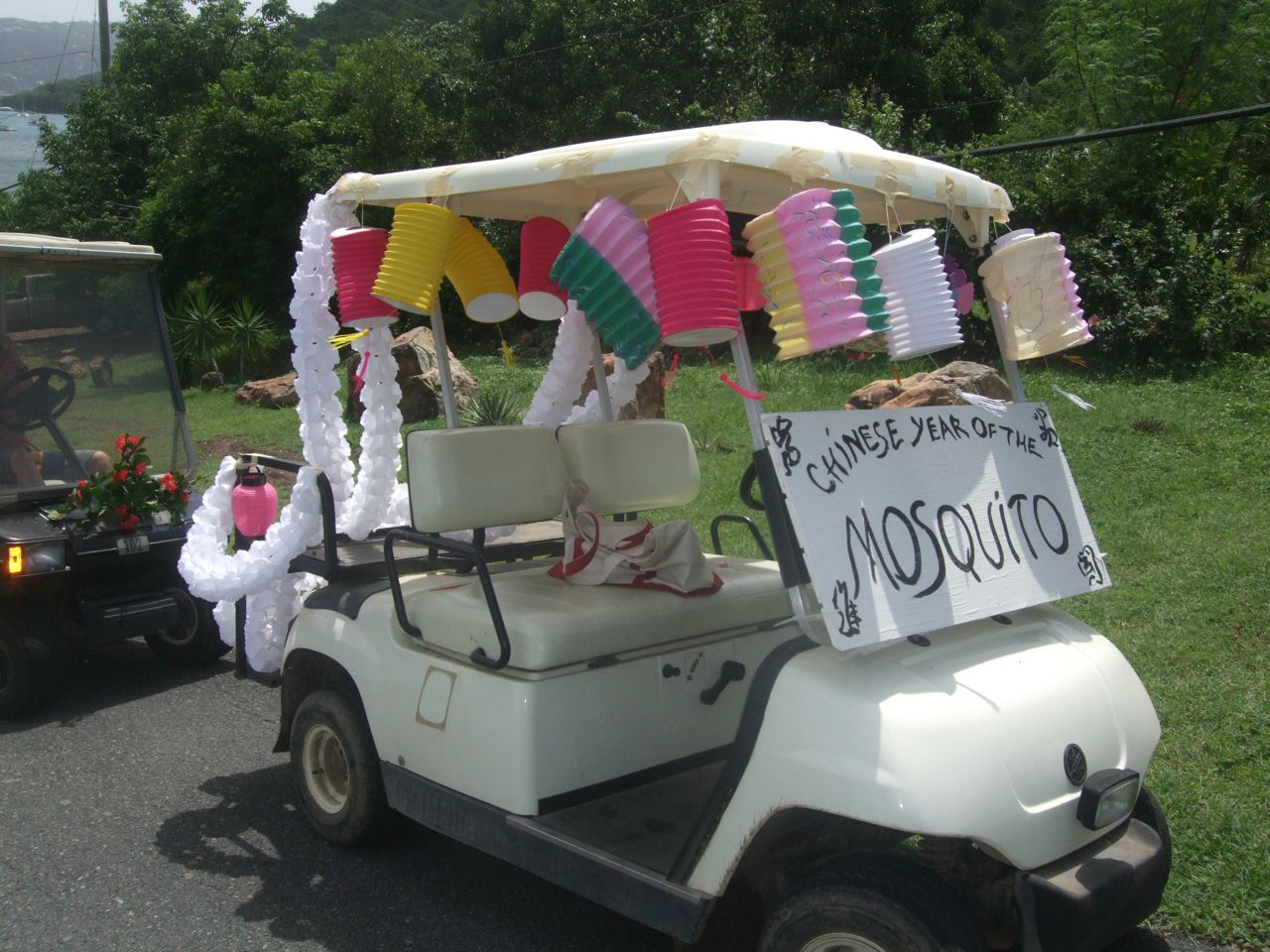 DSCF5225.jpg
