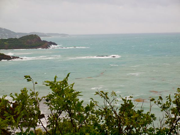 Irene-1.jpg