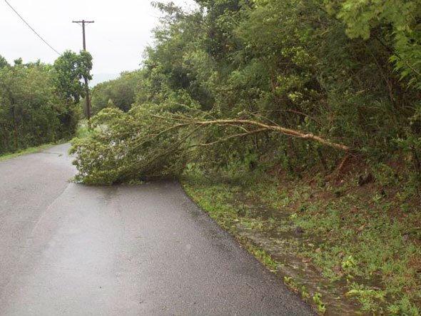 Irene-3.jpg