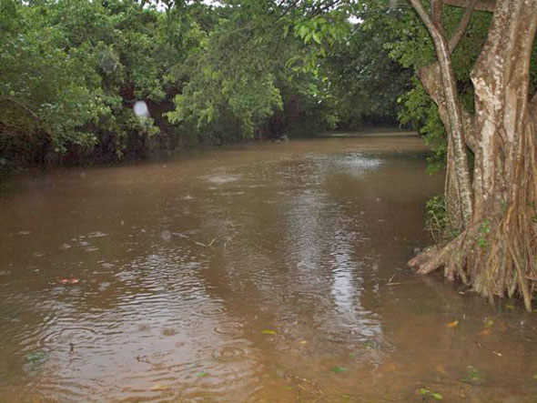 Irene-5.jpg
