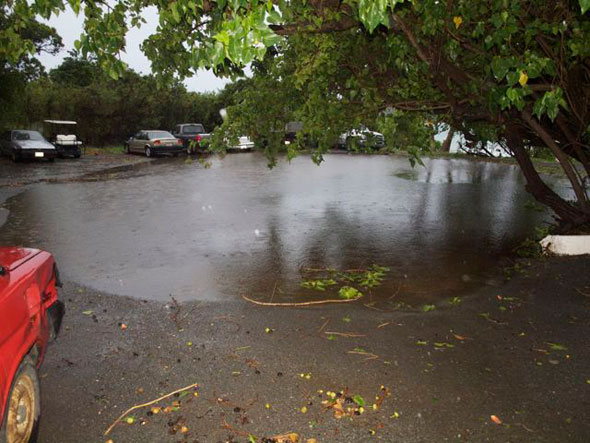 Irene-7.jpg