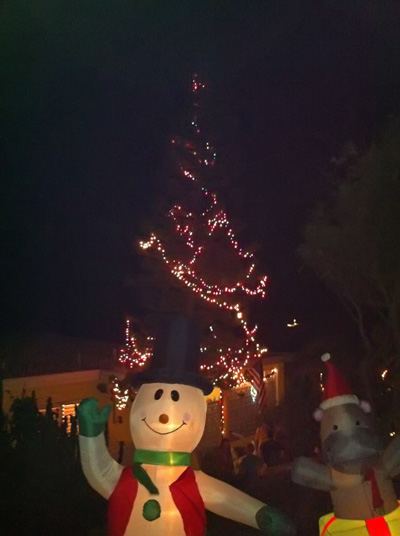 Tree-Lighting.jpg