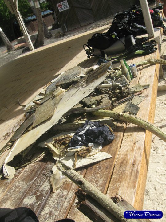 honeymoon beach cleanup 3.jpg