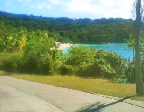 Beach-from-road-before-cutting.jpg
