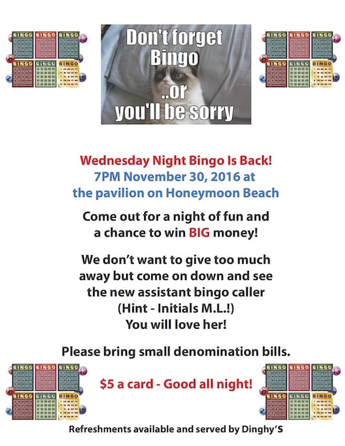 Bingo Announcement copy.jpg