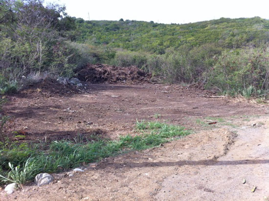 Brush-Pile-2.jpg