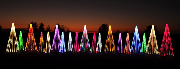 Christmas-Tree-Lights.jpg