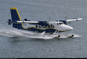Seaborne-Plane.gif