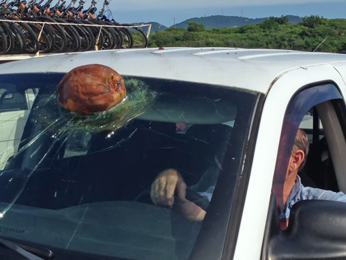 coconut-in-windshield.jpg