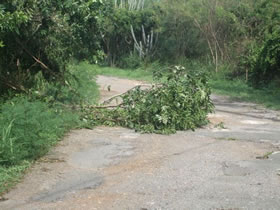 Hurricane EarlDSCF4721.jpg