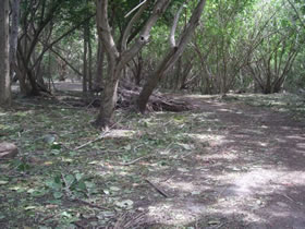 Hurricane EarlDSCF4738.jpg