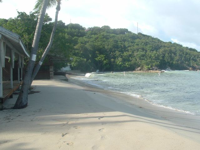 DSCF0045.jpg