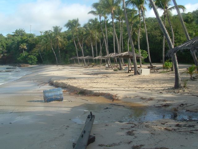 DSCF0048.jpg