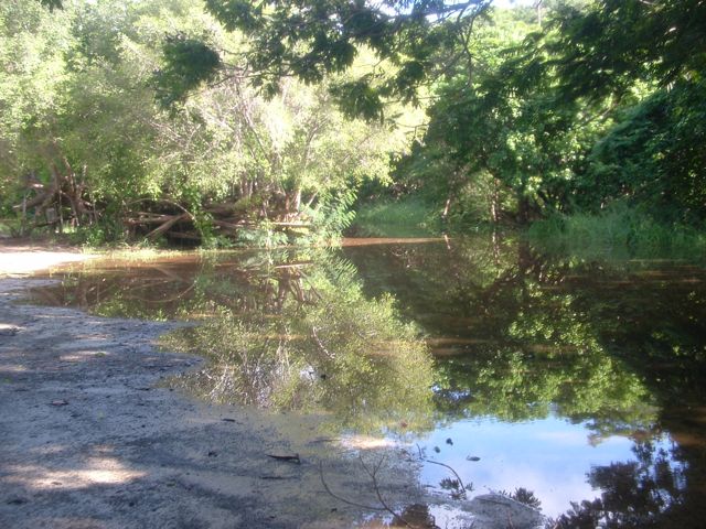 DSCF0051.jpg