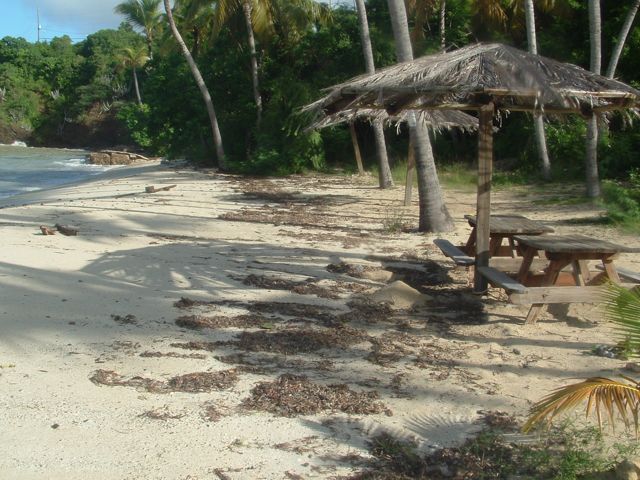 DSCF0062.jpg