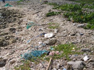 cleanup3.jpg