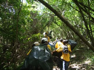 cleanup6.jpg