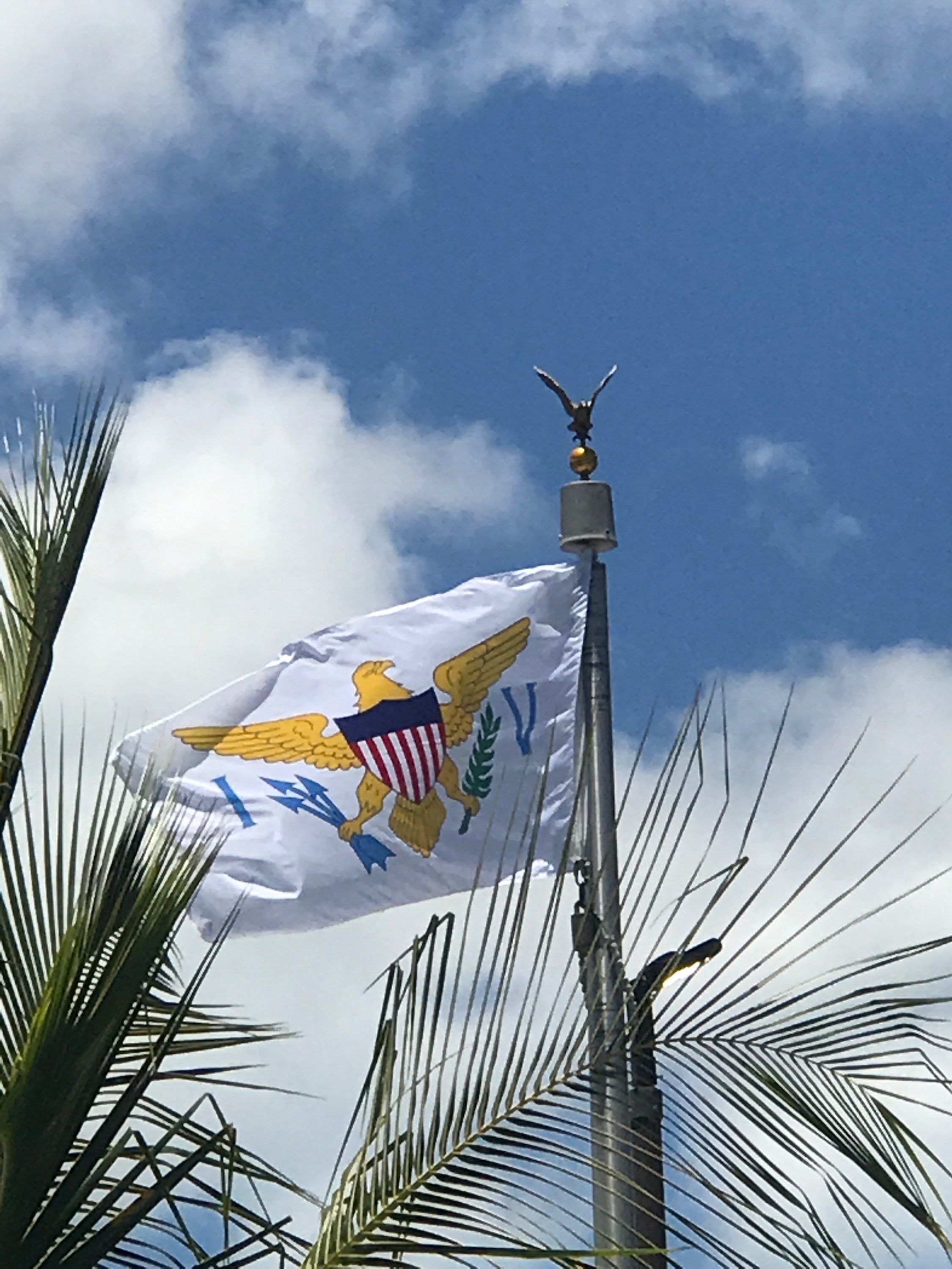VI 2 Flag.jpg