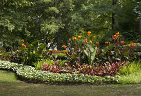Landscaper